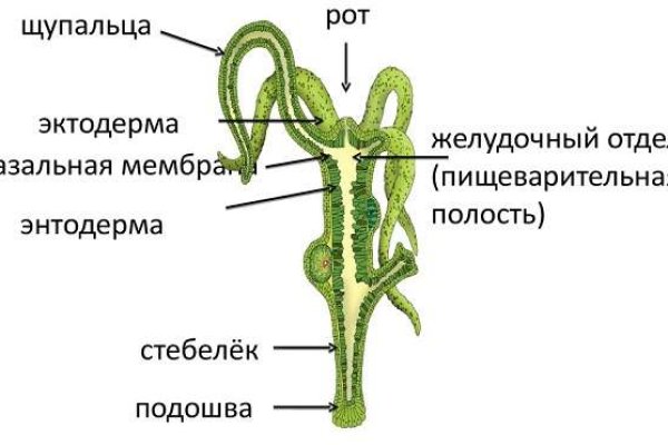 Кракен даркнет в тор