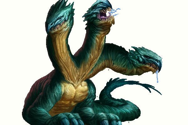 Www kraken 20at net